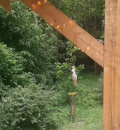 Lalas'house * Филиппвиль